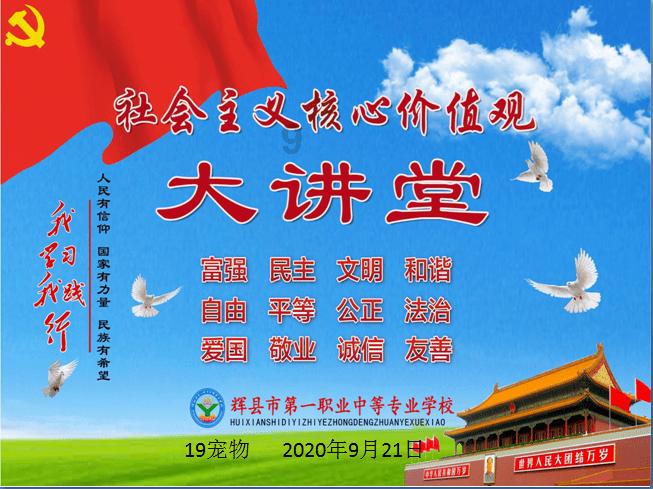 救援可爱小猪仔